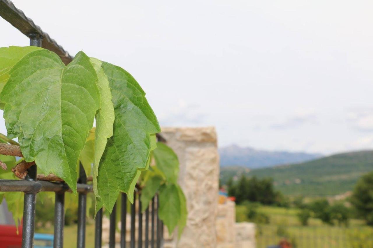 Villa Stone House Skrivena Pridraga Exterior foto